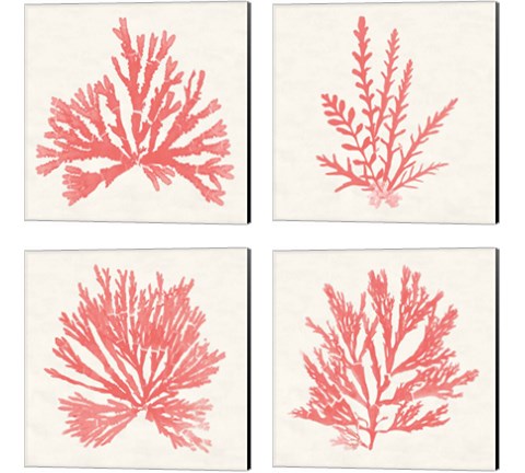 Pacific Sea Mosses Coral 4 Piece Canvas Print Set by Wild Apple Portfolio