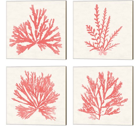 Pacific Sea Mosses Coral 4 Piece Canvas Print Set by Wild Apple Portfolio