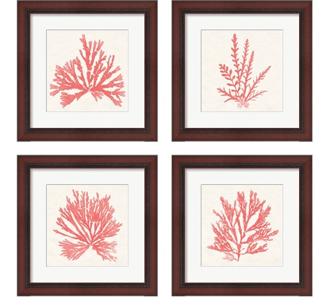 Pacific Sea Mosses Coral 4 Piece Framed Art Print Set by Wild Apple Portfolio