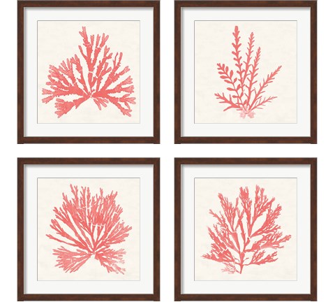 Pacific Sea Mosses Coral 4 Piece Framed Art Print Set by Wild Apple Portfolio