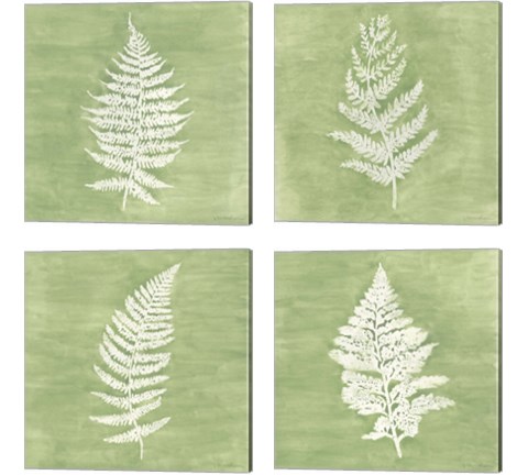Forest Ferns 4 Piece Canvas Print Set by Vanna Lam