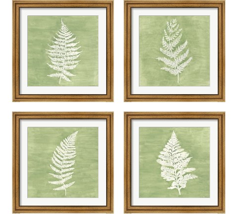 Forest Ferns 4 Piece Framed Art Print Set by Vanna Lam