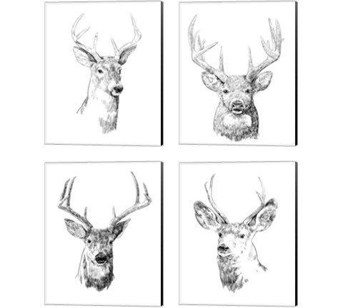 Young Buck Sketch 4 Piece Canvas Print Set by Emma Scarvey