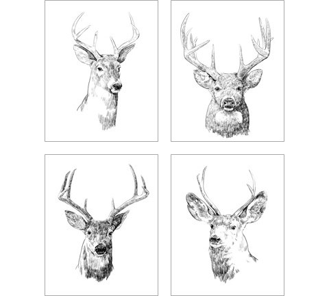 Young Buck Sketch 4 Piece Art Print Set by Emma Scarvey