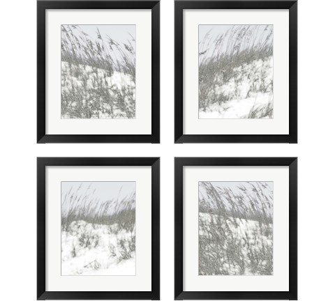 Lush Dunes 4 Piece Framed Art Print Set by Sharon Chandler