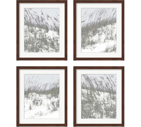 Lush Dunes 4 Piece Framed Art Print Set by Sharon Chandler
