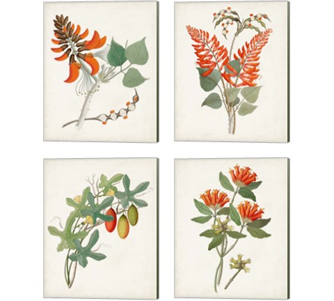 Botanical of the Tropics 4 Piece Canvas Print Set