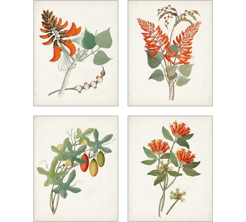 Botanical of the Tropics 4 Piece Art Print Set