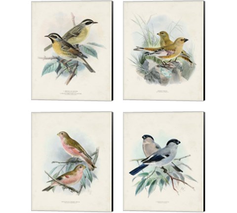 Antique Birds 4 Piece Canvas Print Set