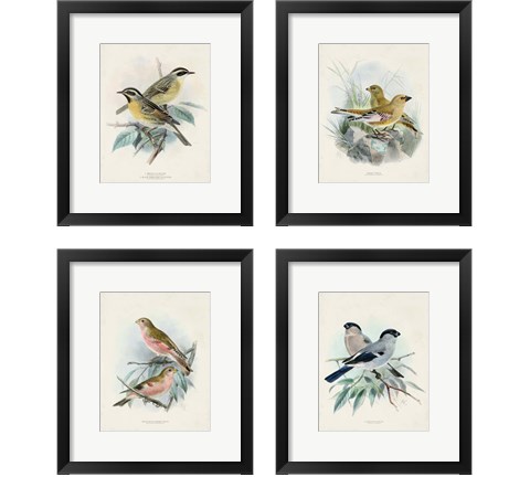 Antique Birds 4 Piece Framed Art Print Set