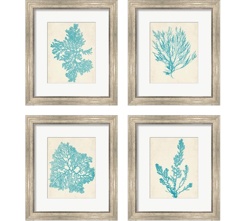 Aquamarine Seaweed 4 Piece Framed Art Print Set by Vision Studio