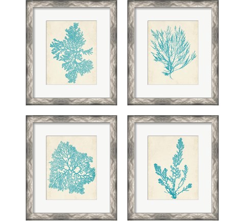 Aquamarine Seaweed 4 Piece Framed Art Print Set by Vision Studio