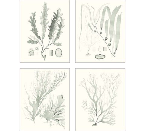 Sage Green Seaweed 4 Piece Art Print Set by Vision Studio