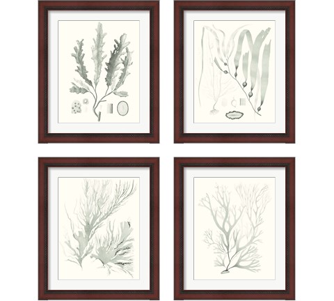 Sage Green Seaweed 4 Piece Framed Art Print Set by Vision Studio