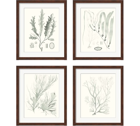 Sage Green Seaweed 4 Piece Framed Art Print Set by Vision Studio