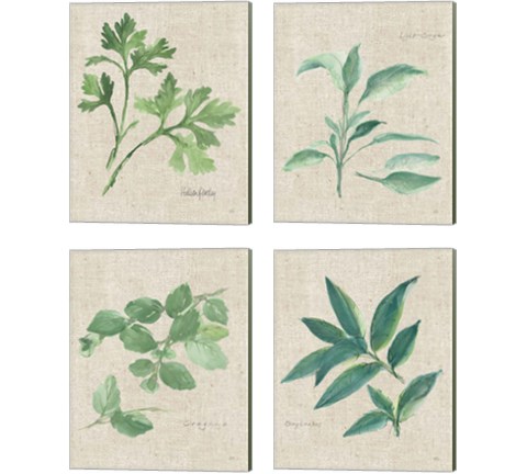 Herbs on Burlap 4 Piece Canvas Print Set by Chris Paschke