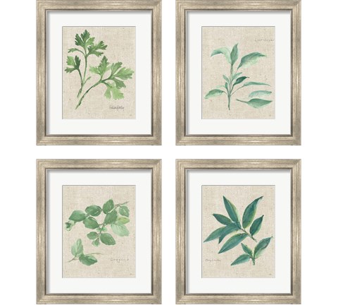 Herbs on Burlap 4 Piece Framed Art Print Set by Chris Paschke