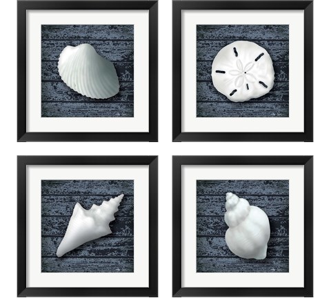 Seashore Shells Navy 4 Piece Framed Art Print Set by Marie-Elaine Cusson