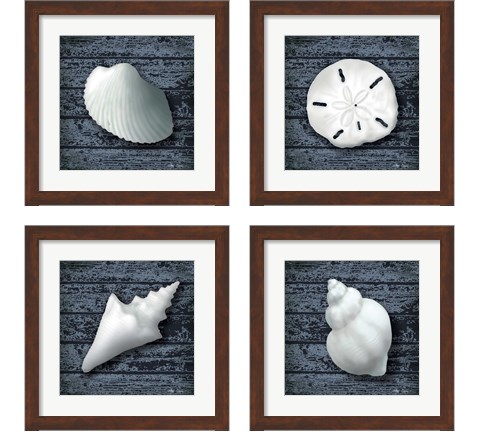 Seashore Shells Navy 4 Piece Framed Art Print Set by Marie-Elaine Cusson
