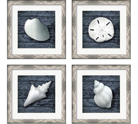Seashore Shells Navy 4 Piece Framed Art Print Set by Marie-Elaine Cusson