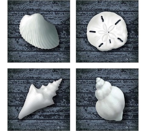 Seashore Shells Navy 4 Piece Art Print Set by Marie-Elaine Cusson