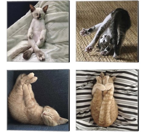 Cat Yoga 4 Piece Canvas Print Set by R. NOB