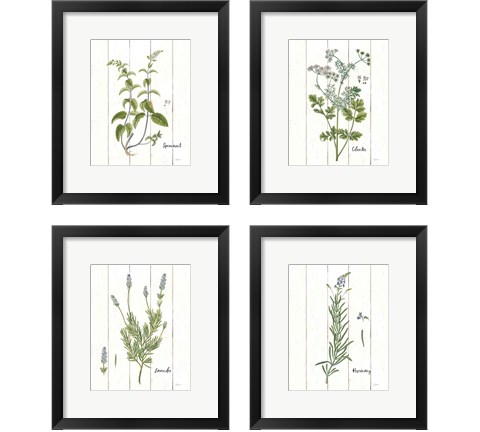 Cottage Herbs 4 Piece Framed Art Print Set by Sue Schlabach