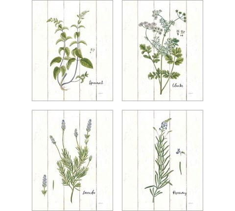 Cottage Herbs 4 Piece Art Print Set by Sue Schlabach