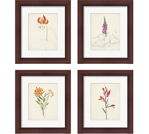 Watercolor Botanical Sketches 4 Piece Framed Art Print Set