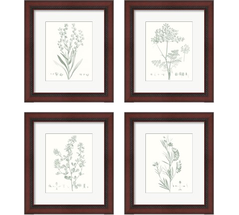 Botanical Study in Sage 4 Piece Framed Art Print Set by Vision Studio