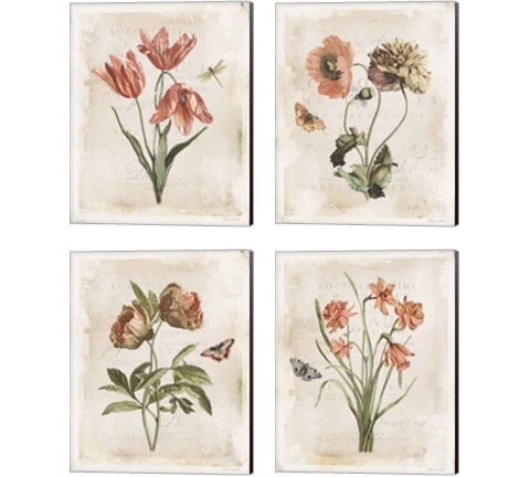 Antiquarian Blooms 4 Piece Canvas Print Set by Katie Pertiet