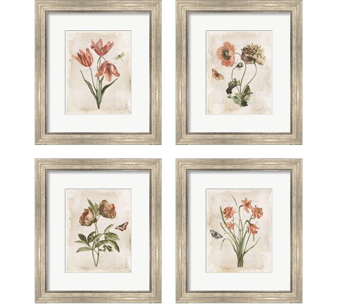 Antiquarian Blooms 4 Piece Framed Art Print Set by Katie Pertiet