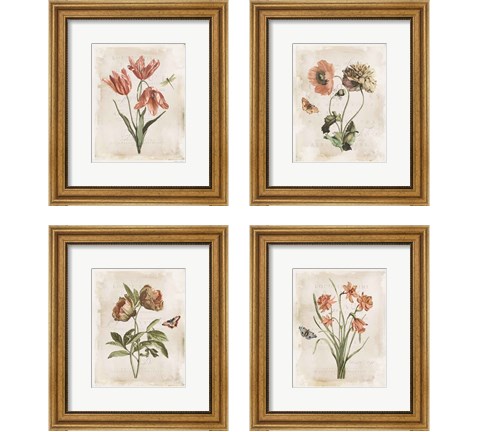 Antiquarian Blooms 4 Piece Framed Art Print Set by Katie Pertiet