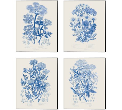 Flowering Plants 4 Piece Canvas Print Set by Wild Apple Portfolio