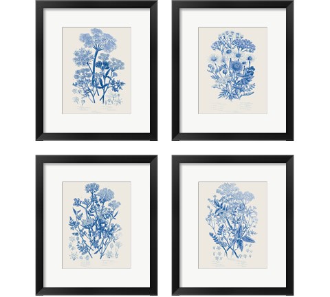 Flowering Plants 4 Piece Framed Art Print Set by Wild Apple Portfolio