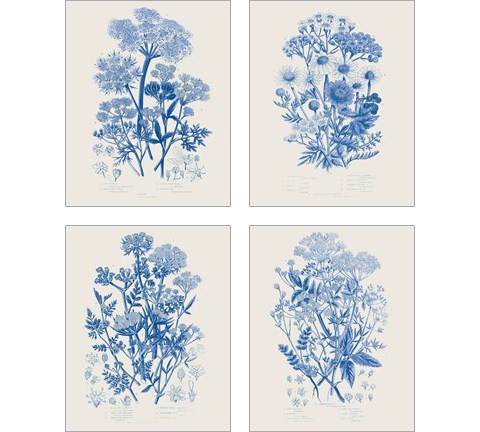 Flowering Plants 4 Piece Art Print Set by Wild Apple Portfolio