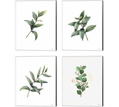 Eucalyptus  4 Piece Canvas Print Set by Seven Trees Design
