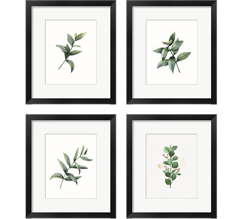 Eucalyptus  4 Piece Framed Art Print Set by Seven Trees Design