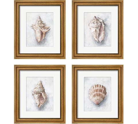 White Shell Study 4 Piece Framed Art Print Set by Ethan Harper