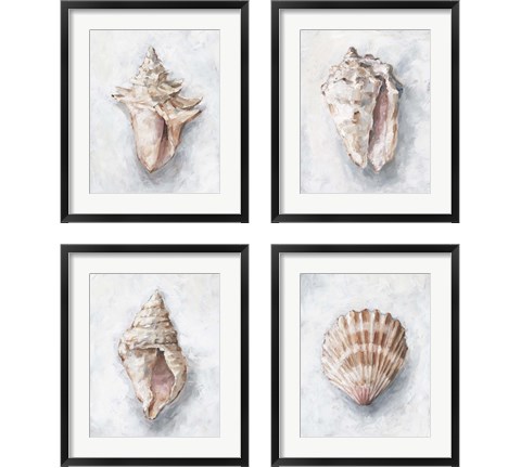 White Shell Study 4 Piece Framed Art Print Set by Ethan Harper