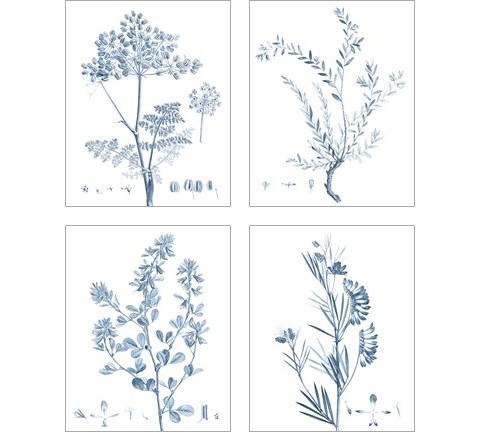 Antique Botanical in Blue 4 Piece Art Print Set by Vision Studio