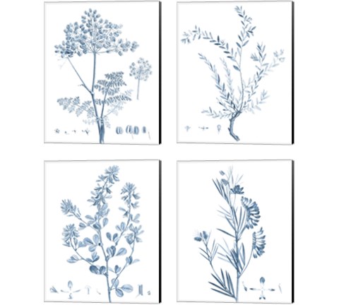 Antique Botanical in Blue 4 Piece Canvas Print Set by Vision Studio