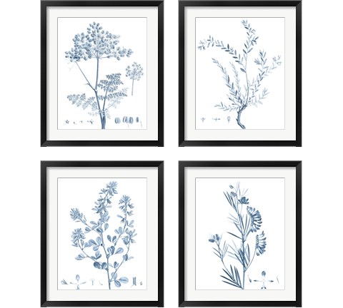 Antique Botanical in Blue 4 Piece Framed Art Print Set by Vision Studio