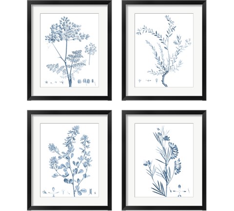 Antique Botanical in Blue 4 Piece Framed Art Print Set by Vision Studio