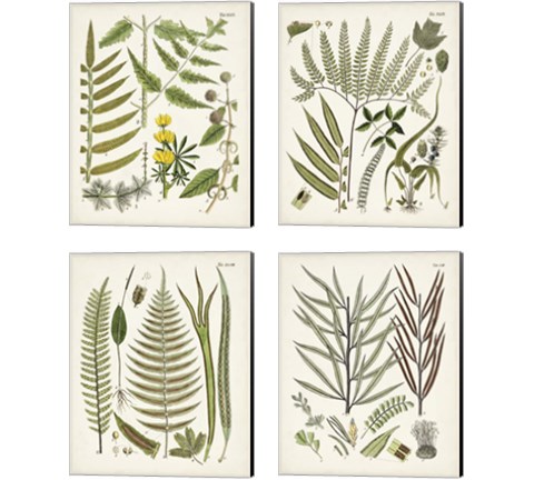 Fanciful Ferns 4 Piece Canvas Print Set