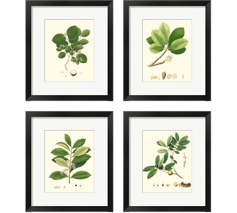 Spring Green Foliage 4 Piece Framed Art Print Set