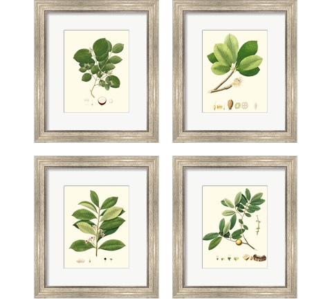 Spring Green Foliage 4 Piece Framed Art Print Set