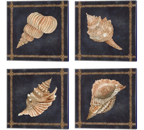 Seashell on Navy 4 Piece Canvas Print Set by Cindy Jacobs