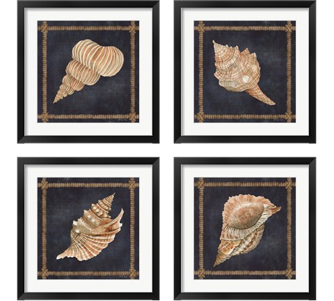 Seashell on Navy 4 Piece Framed Art Print Set by Cindy Jacobs