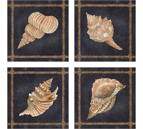 Seashell on Navy 4 Piece Art Print Set by Cindy Jacobs